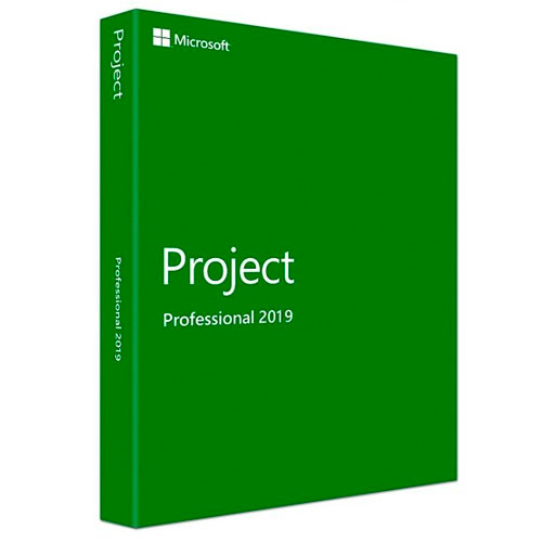 Microsoft Project Professional 2019